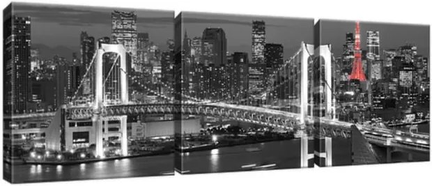 Obraz na plátne Dúhový most Tokio 90x30cm 2390A_3A