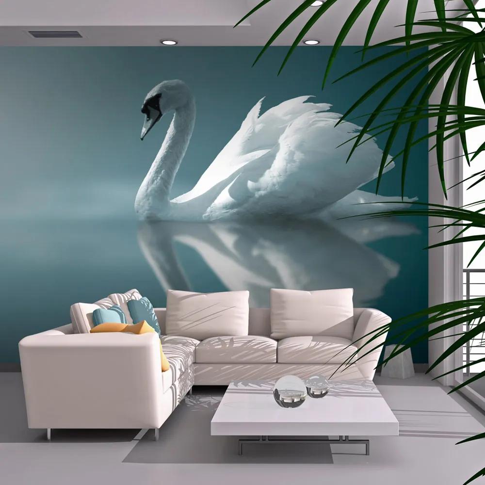 Fototapeta Bimago - White swan + lepidlo zadarmo 200x154 cm