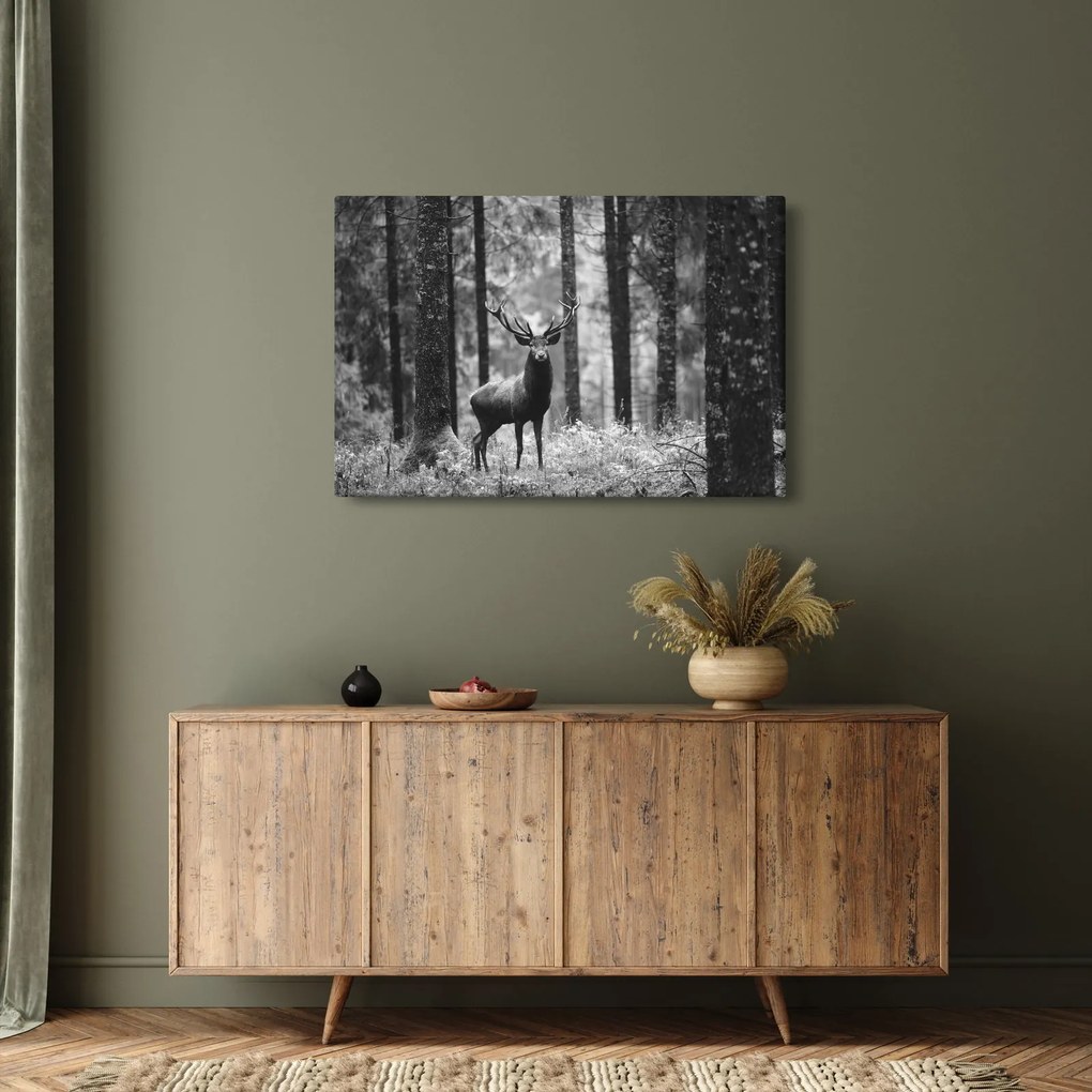 Obraz - Jeleň v lese 2, čiernobiela (90x60 cm)