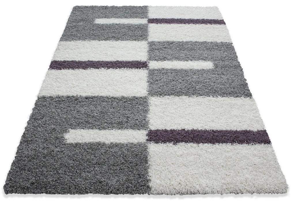 Ayyildiz Kusový koberec GALA 2505, Lila Rozmer koberca: 160 x 230 cm