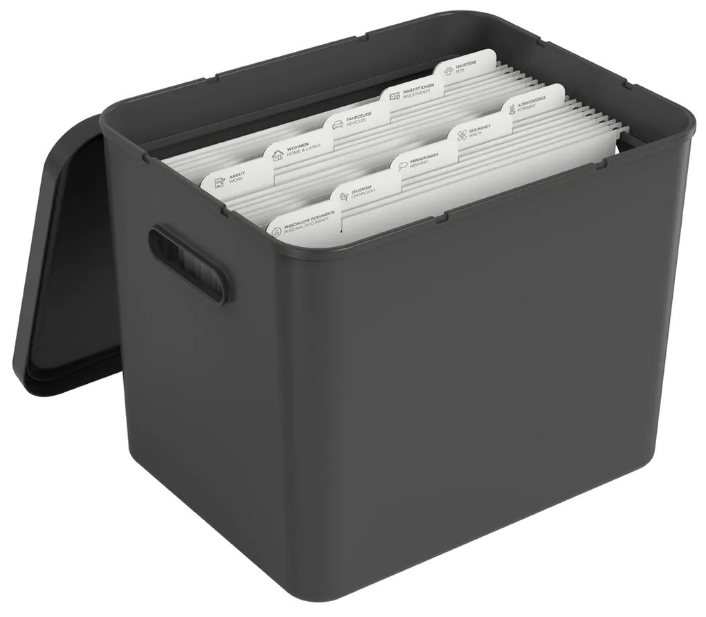 Rotho Úložný box na dokumenty na archiváciu + 10 závesných zakladačov, myPAPER BOX – čierny