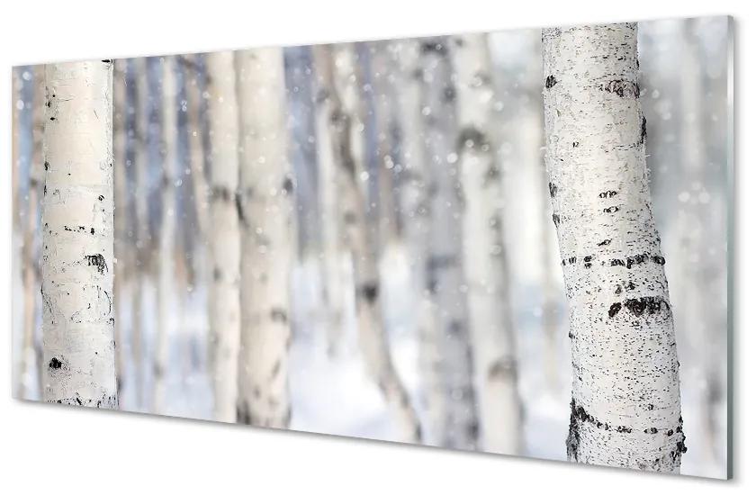 Obraz plexi Stromy v zime sneh 100x50 cm