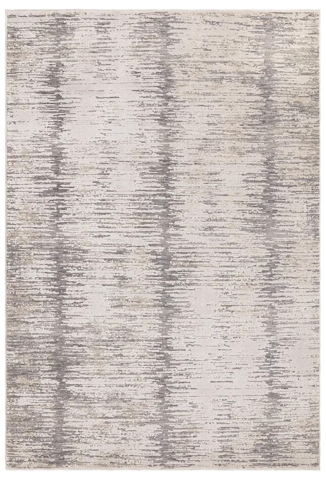 Koberec 200x300 cm Anders Grey – Asiatic Carpets
