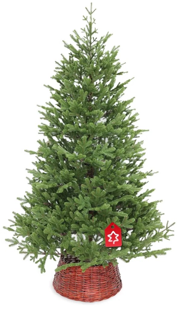 Smrek Natura 100% 210 cm