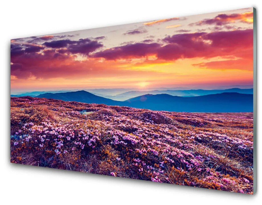 Obraz na skle Lúka hory kvety príroda 100x50 cm