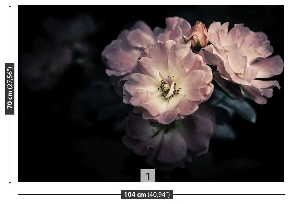 Fototapeta Vliesová Ružová ruža 416x254 cm