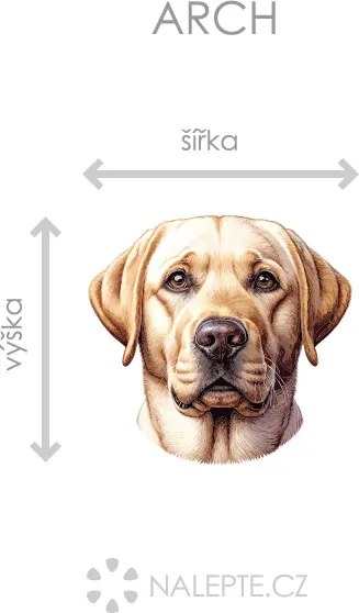 Pes Zlatý Retriever textilní prelepiteľná nálepka na stenu list 45 x 42 cm