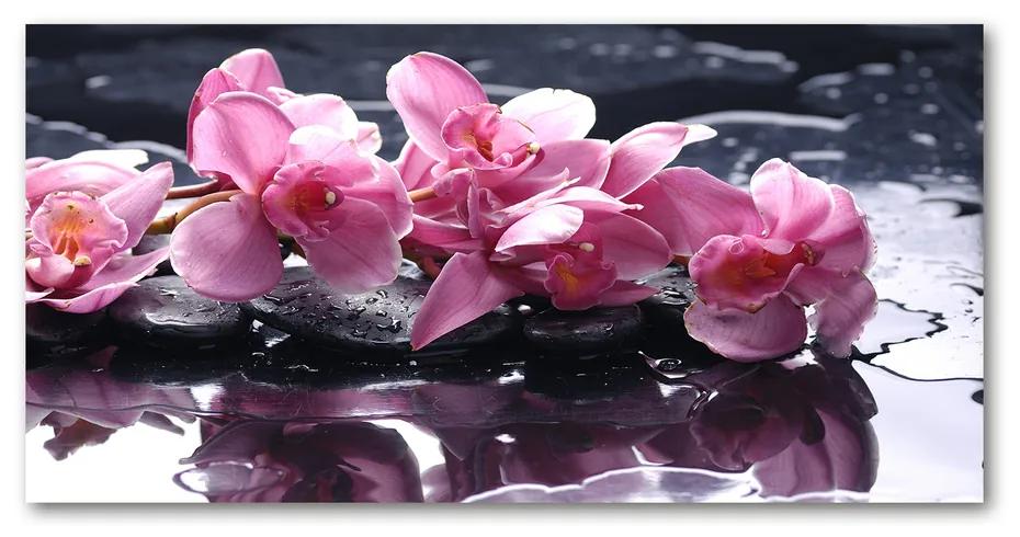 Foto obraz akrylový na stenu Ružová orchidea pl-oa-140x70-f-28903356