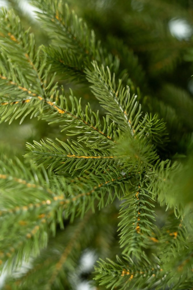 Limpol Jedľa Exclusive Lux 210 cm