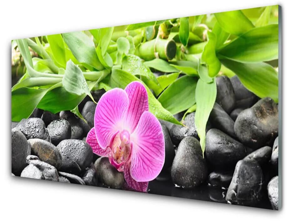 Obraz plexi Kvety orchidea kamene zen 125x50 cm