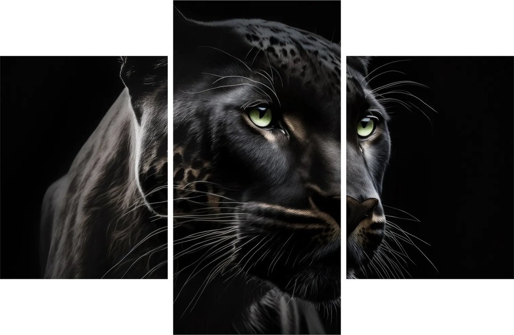 Obraz - Čierny panter (90x60 cm)