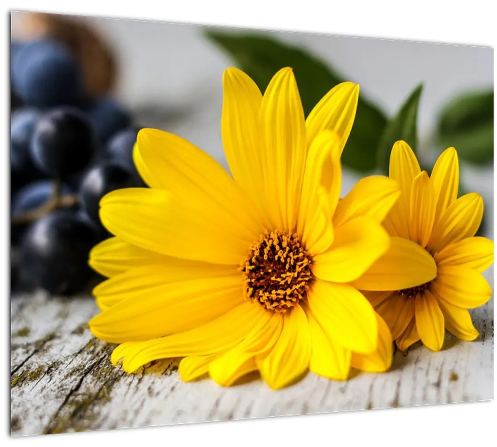 Obraz žltých kvetov (70x50 cm)