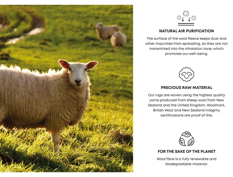 Tmavomodrý vlnený koberec 200x300 cm Linea – Agnella