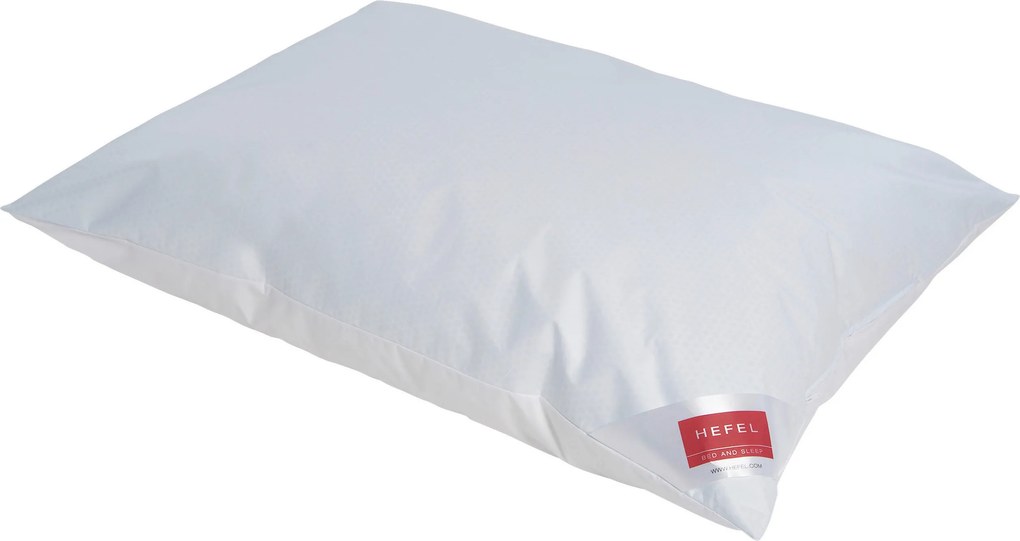 XXXLutz VANKÚŠ POD HLAVU, 40/80 cm Hefel Textil - Prikrývky & vankúše - 004636999818