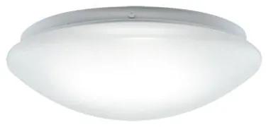 STRÜHM Prisadené stropné svietidlo LEON LED C 24W Neutral White 2782