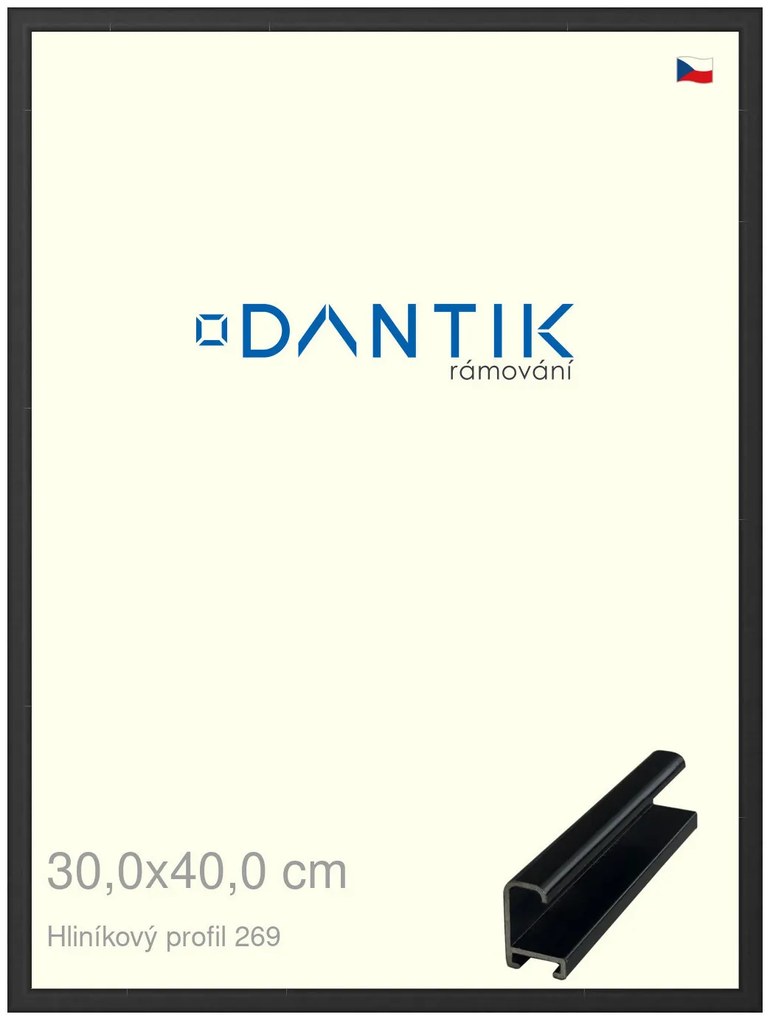 DANTIK rám na obraz 30x40 | ALU Černá matná (Plexi Čiré)