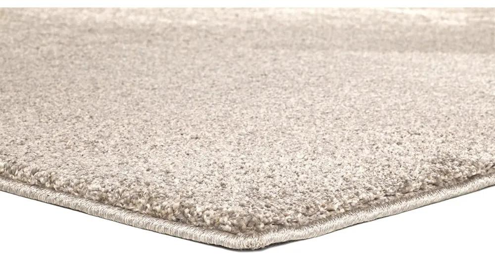Sivý/béžový koberec 120x170 cm – Universal