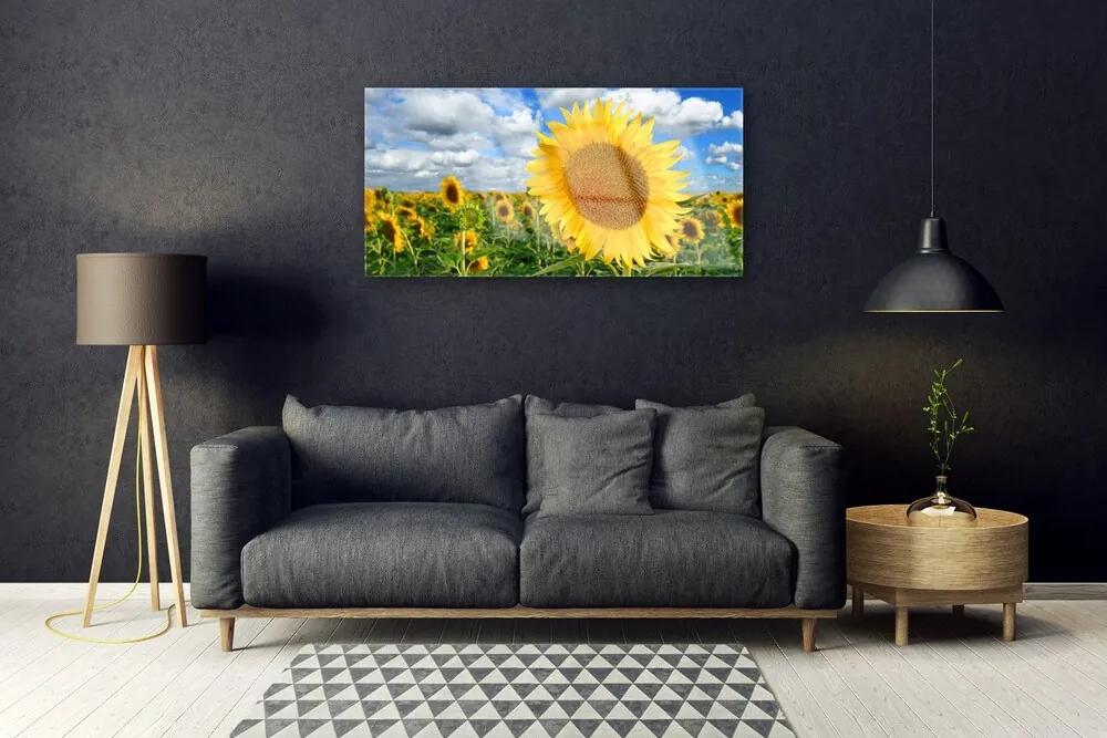 Skleneny obraz Slnečnica kvet rastlina 125x50 cm