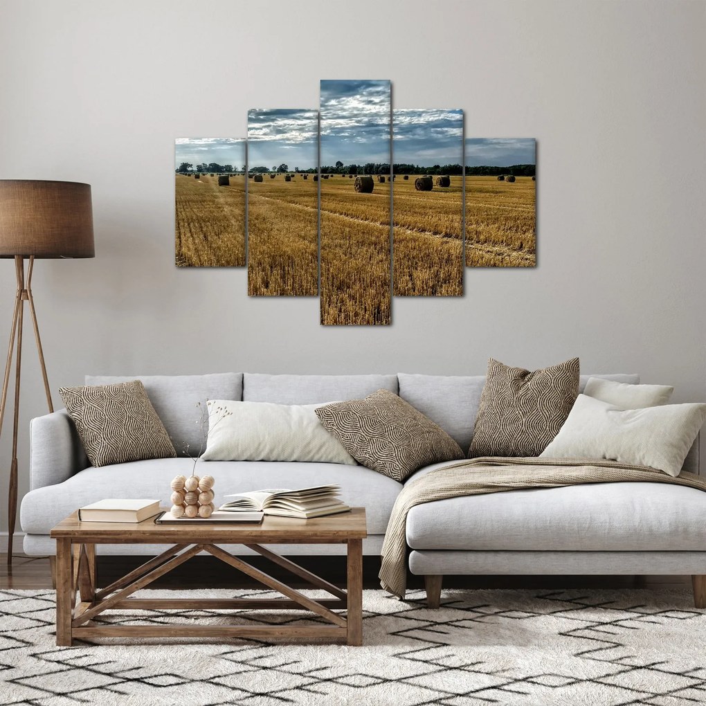 Obraz zozbieraného obilného poľa (150x105 cm)