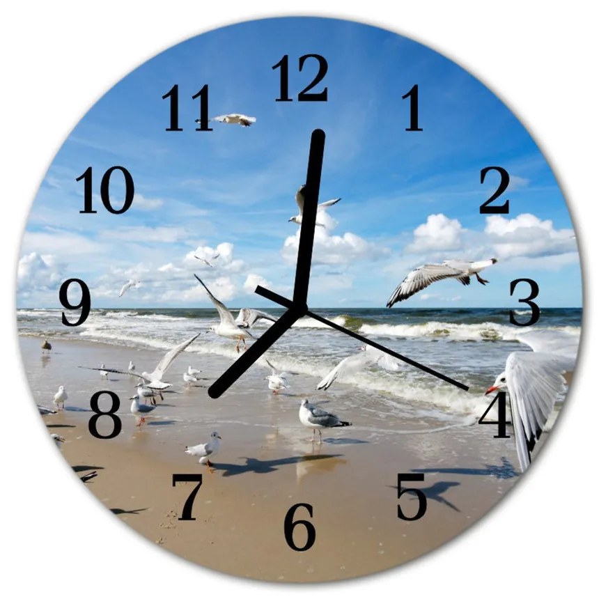 Sklenené hodiny okrúhle Plážové racky fi 30 cm