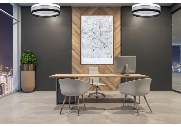 LED Stropné svietidlo CORAL 1xLED/24W/230V čierna/biela