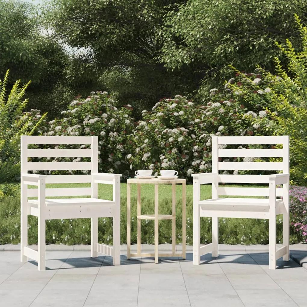 Záhradné stoličky 2 ks 60x48x91 cm borovicový masív 824054
