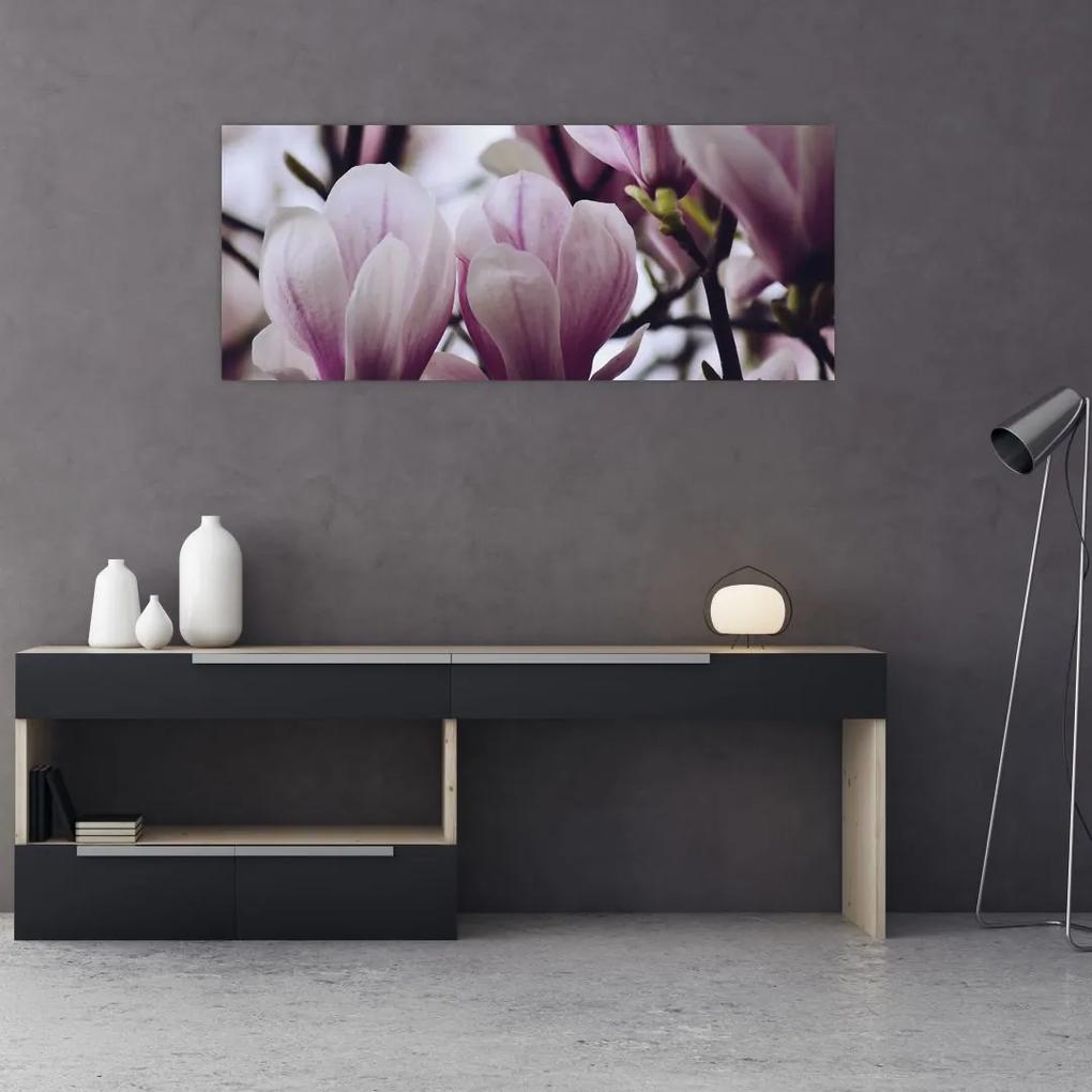 Obraz - Magnolie (120x50 cm)