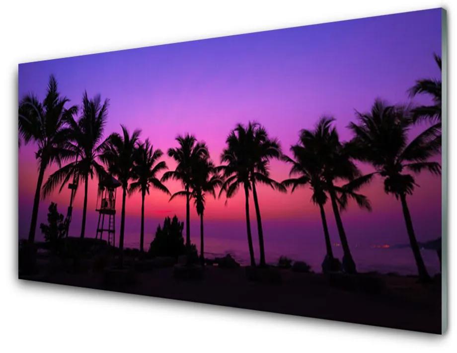 Obraz na akrylátovom skle Palmy stromy príroda 125x50 cm