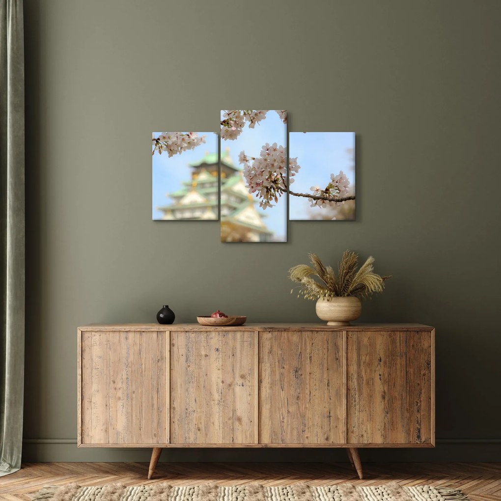 Obraz - Sakura (90x60 cm)