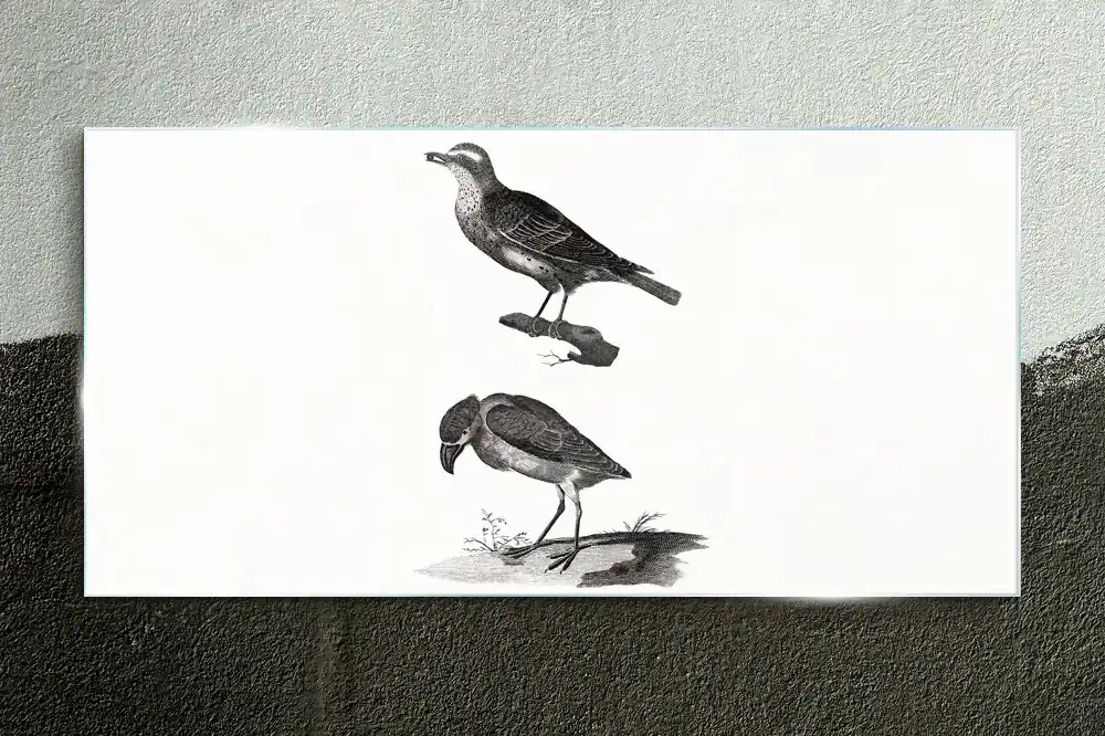 Obraz na skle Kreslenie zvierat vtákov | BIANO