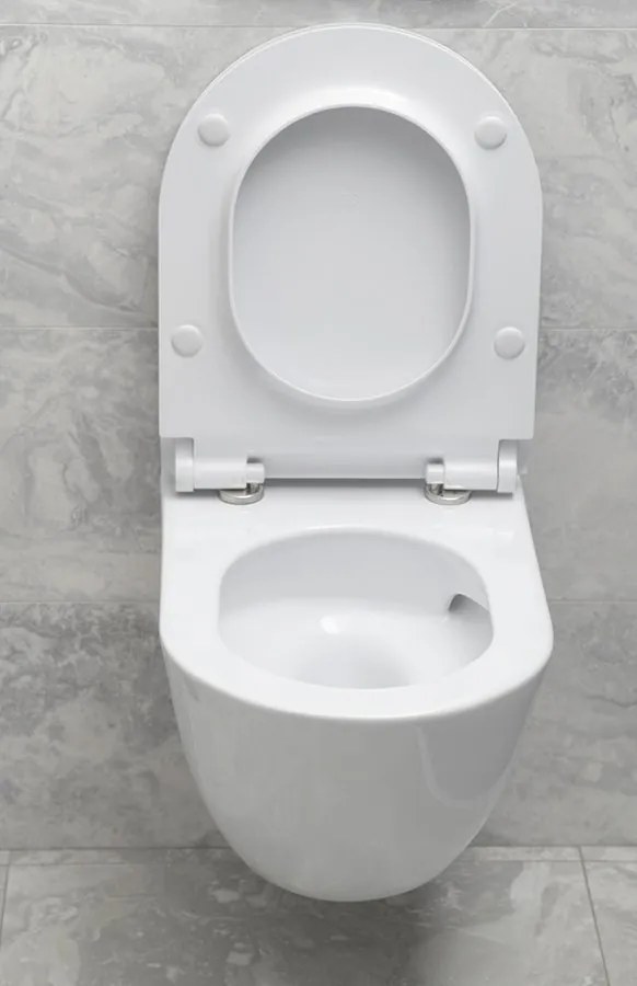 GSI GSI, PURA závesná WC misa, Swirlflush, 55x36 cm, biela dual-mat, 881509