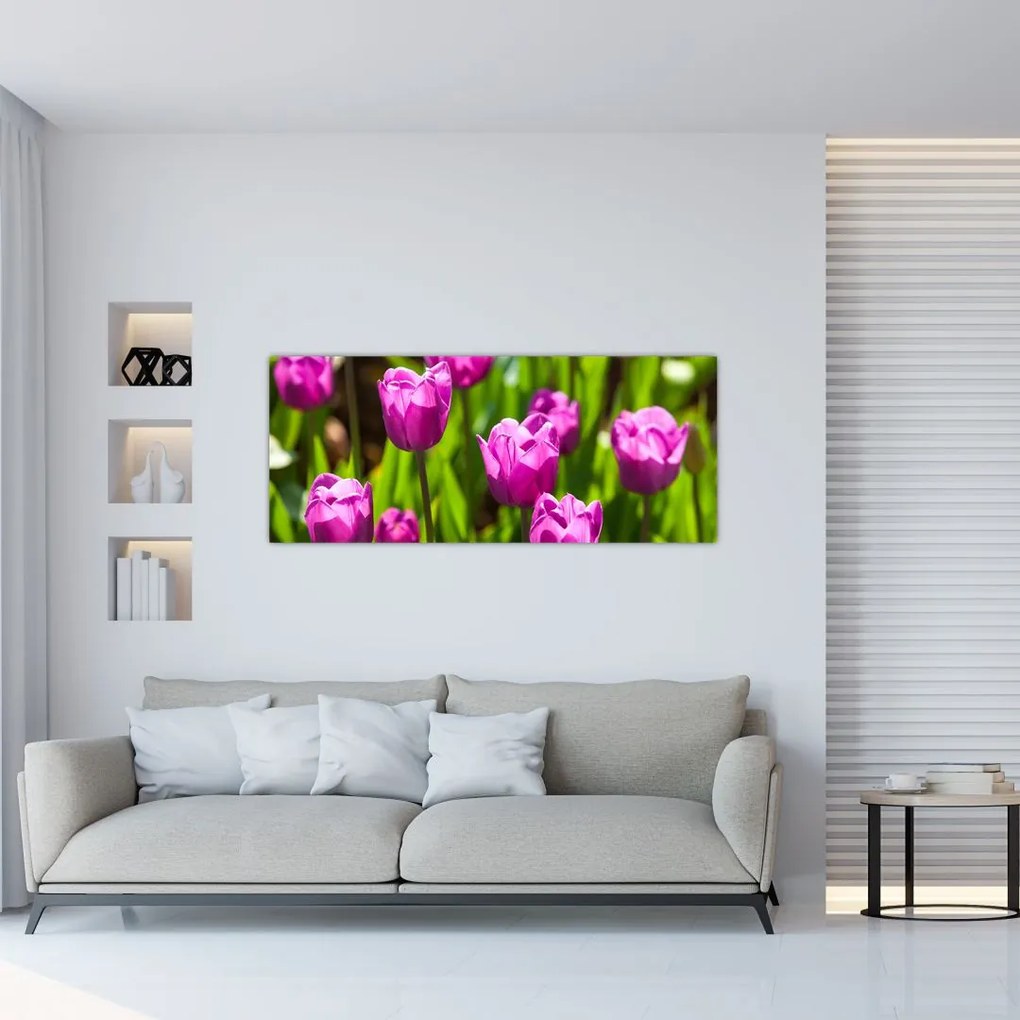 Obraz tulipánov na lúke (120x50 cm)