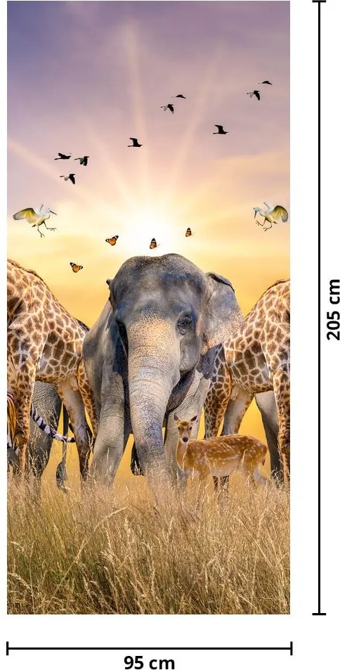Fototapeta na dvere - Africké zvieratá (95x205cm)