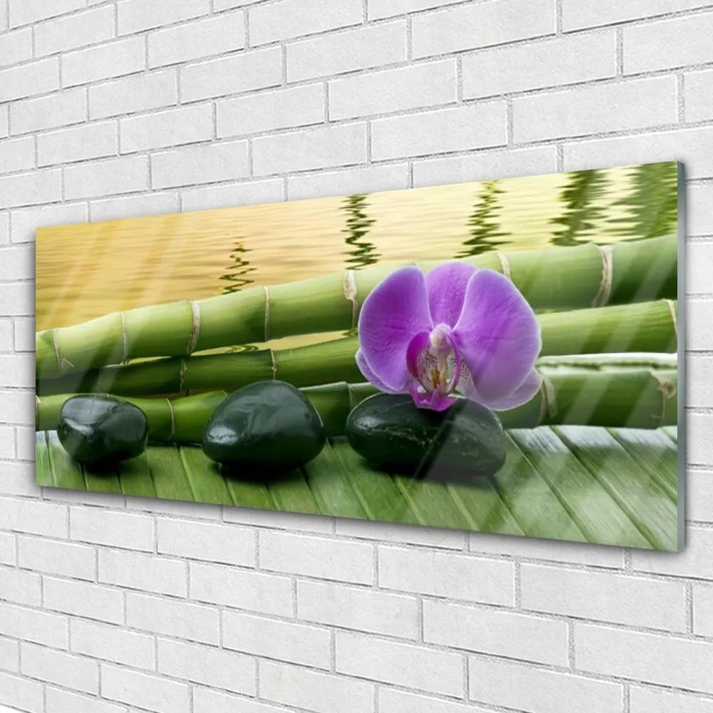 Obraz na akrylátovom skle Kvet kamene bambus príroda 125x50 cm