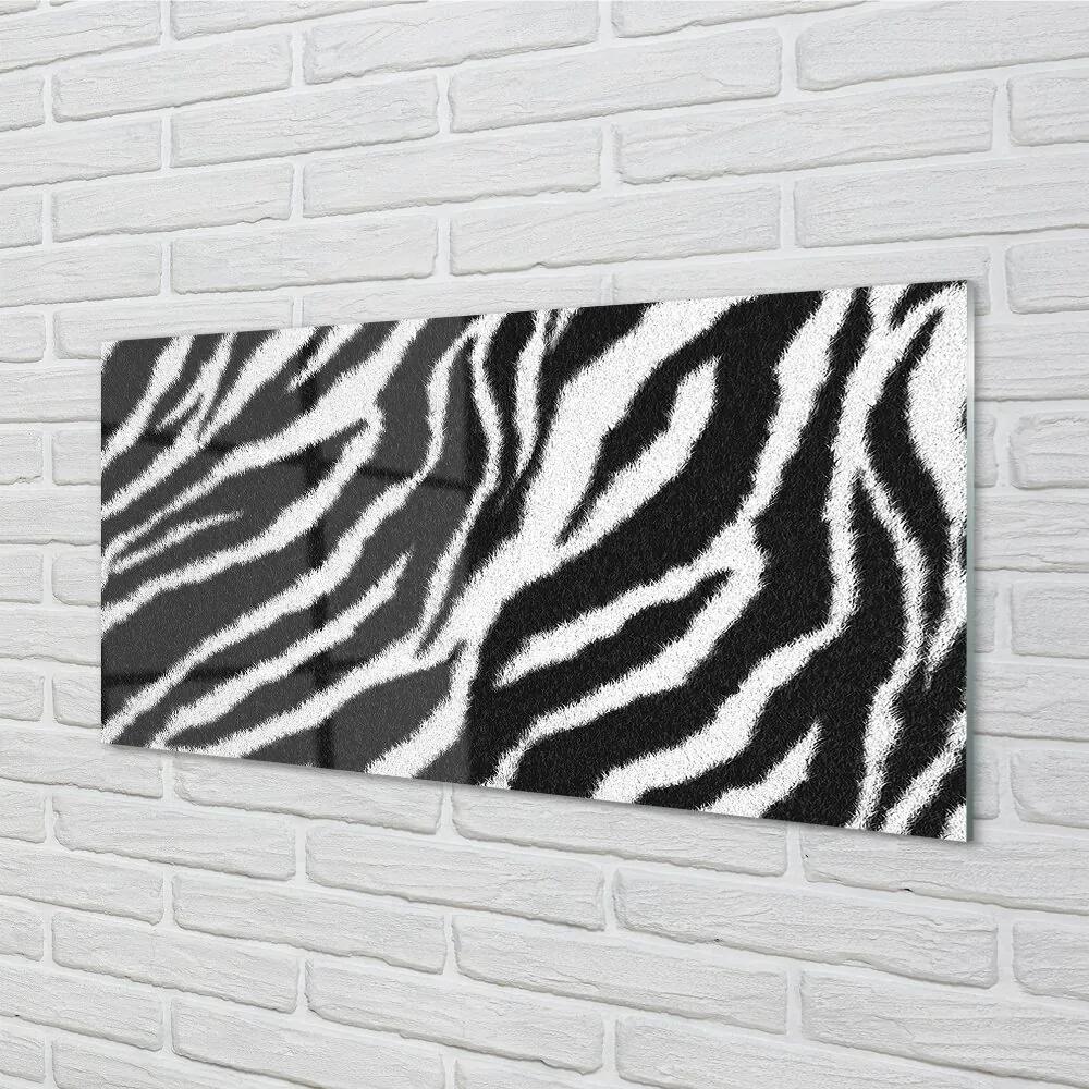 Sklenený obraz zebra fur 100x50 cm