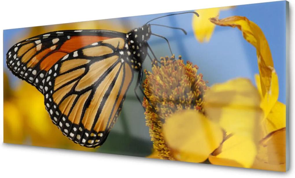 Skleněný obraz Motýľ Kvet Príroda