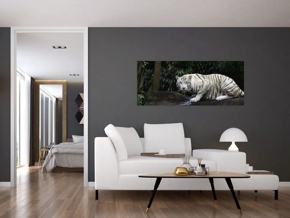 Obraz - Tiger albín (120x50 cm)