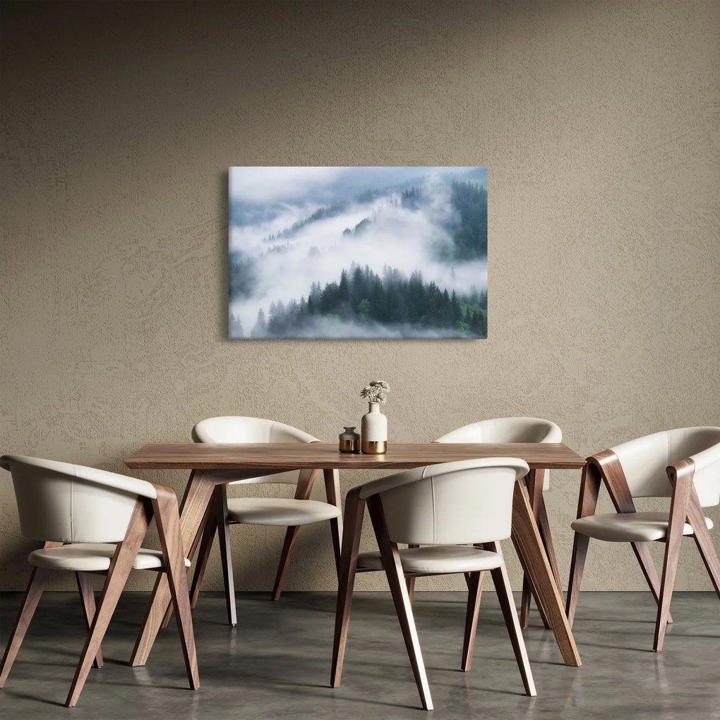 Obraz - Stromy v hmle (90x60 cm)
