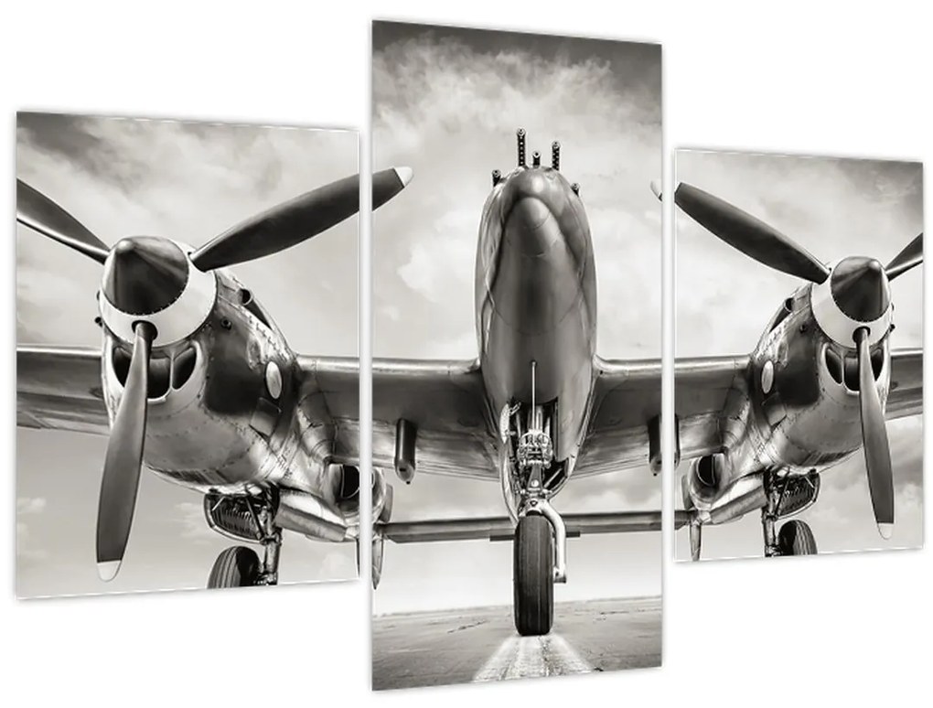 Obraz - Warbird (90x60 cm)