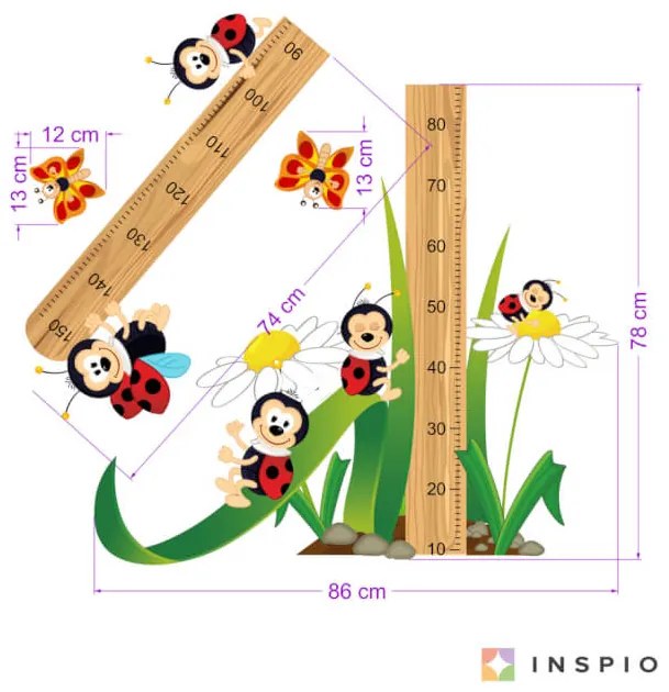 Meter na stenu Lienky 150cm