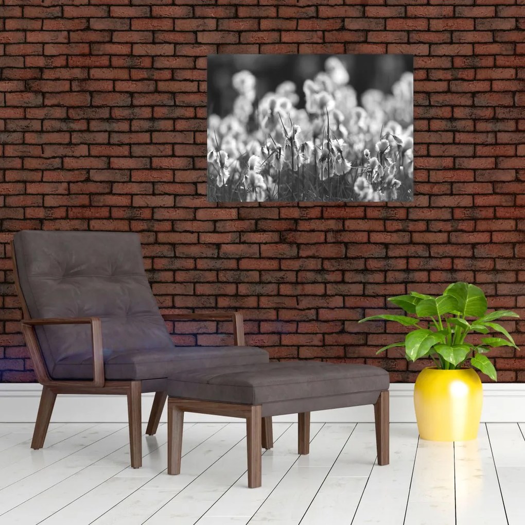 Sklenený obraz - Letná lúka (70x50 cm)