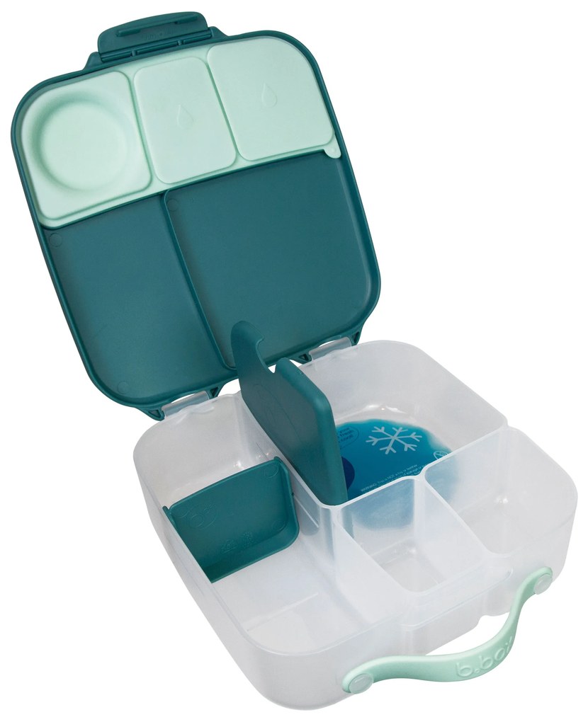 Desiatový box veľký - emerald forest