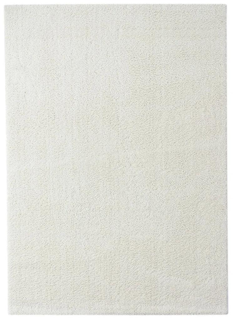Koberce Breno Kusový koberec DOLCE VITA 01/WWW, biela,160 x 230 cm