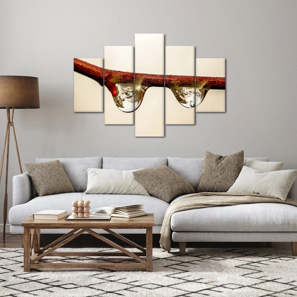 Obraz kvapiek na vetve (150x105 cm)