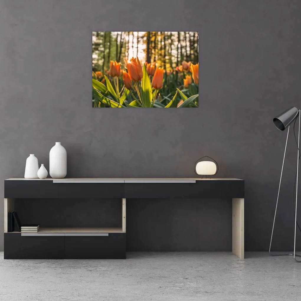 Obraz - kvety tulipánov (70x50 cm)