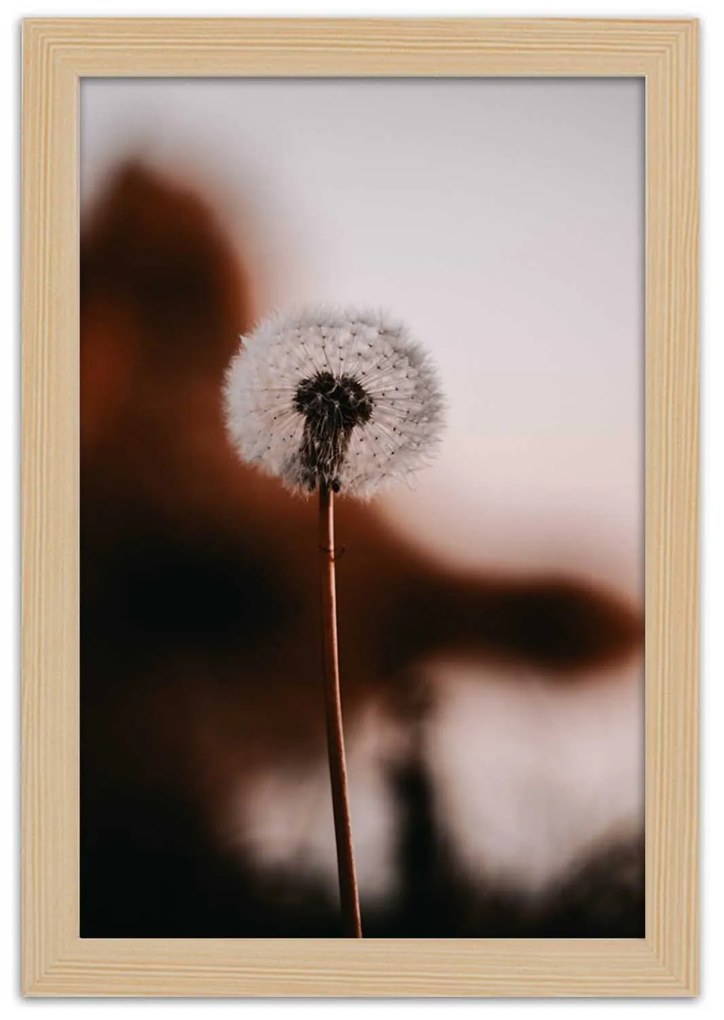 Gario Plagát Osamelá rybka Farba rámu: Bez rámu, Rozmery: 40 x 60 cm