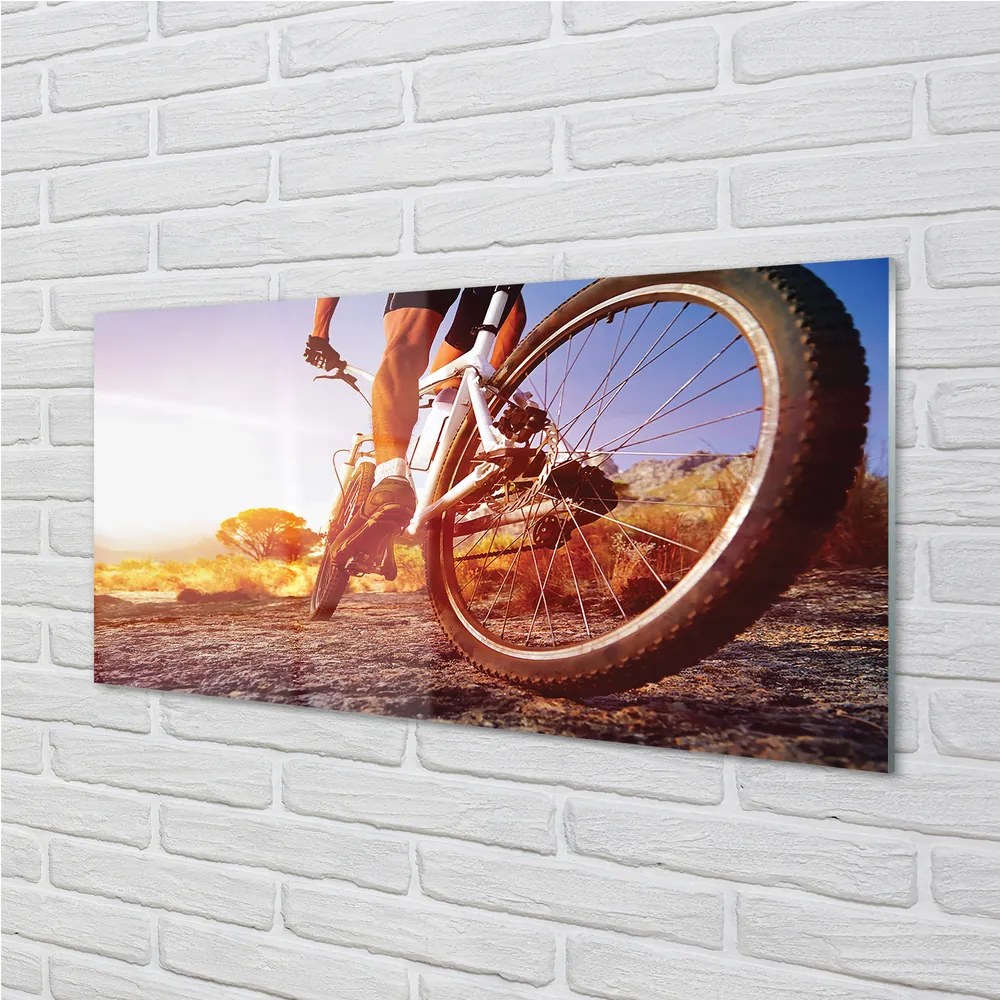 Nástenný panel  Bicykel horskej ceste západ 100x50 cm