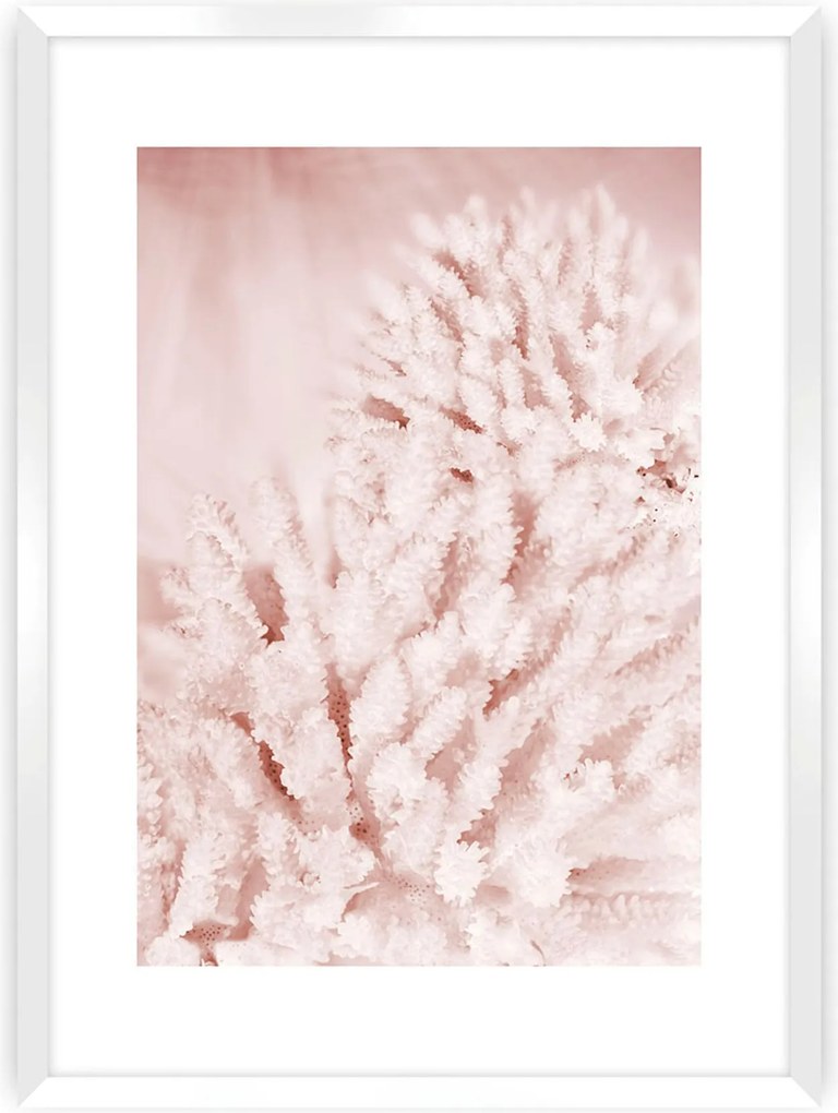 Plagát Pastel Pink II