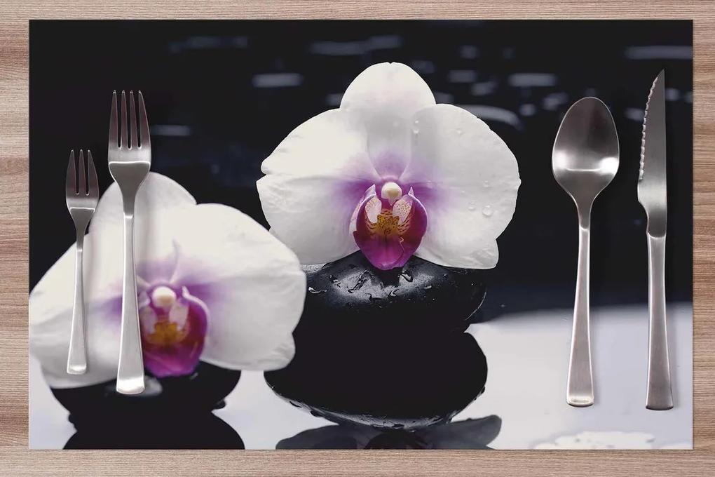 Prestieranie Biela orchidea