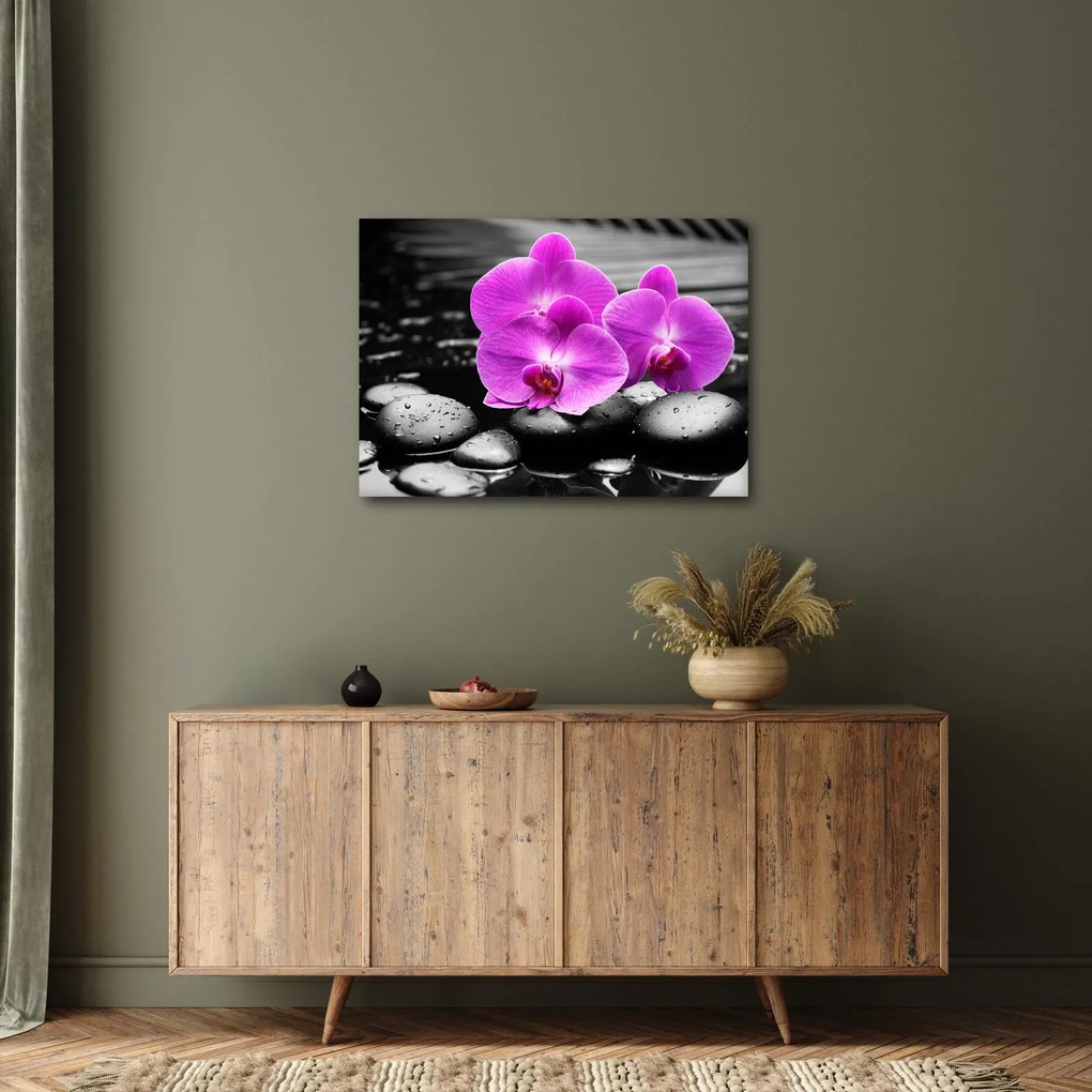 Obraz - Fialové orchidey (70x50 cm)